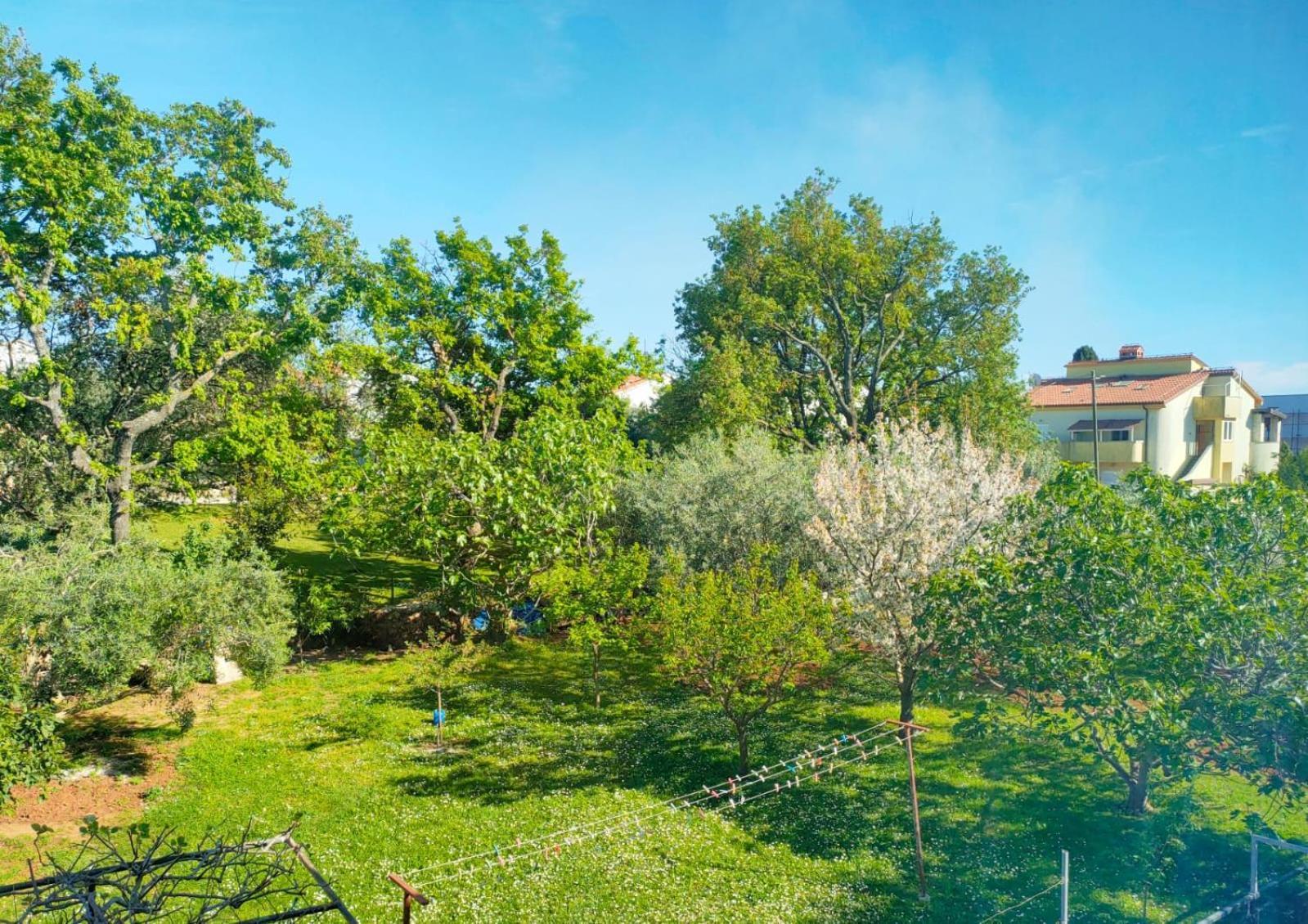 מדולין Skajla Apartments מראה חיצוני תמונה